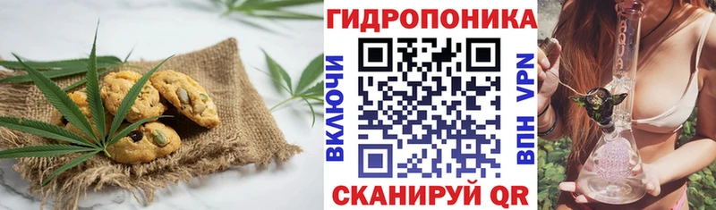 Cannafood конопля  Купить  Дзержинск 