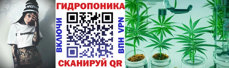 Каннабис планчик  Купить закладки  Дзержинск 